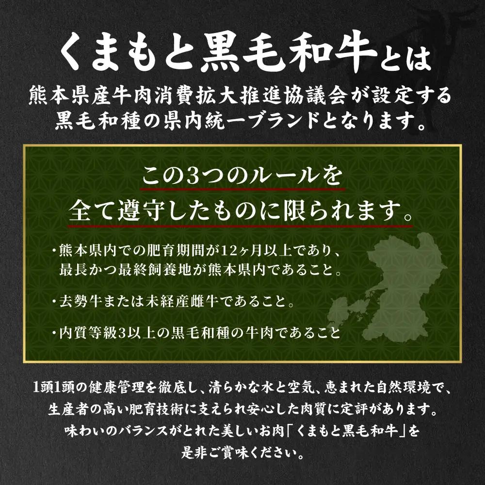 ハンバーグ くまもとDREAMバーグ 150g×5 くまもと黒毛和牛100% ハンバーグ