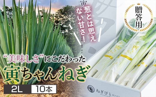 【ねぎびとカンパニー】《2025年先行予約》 贈答用 山形県産 寅ちゃんねぎ 2Lサイズ 10本入(2本×5袋) 2025年12月初旬から順次発送 葱 ねぎ ネギ 野菜 食品 山形県 F2Y-5336