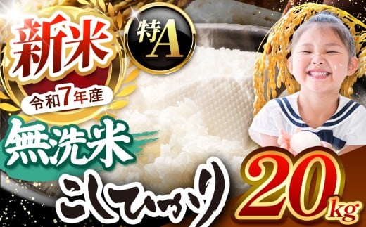 【栃木県共通返礼品】【令和7年度新米先行予約】栃木県産コシヒカリ 無洗米 20kg  | お米 米 こめ 洗米 新米 無洗米 コシヒカリ こしひかり 美味しい お弁当 選べる ふるさと 納税 栃木県 矢板市