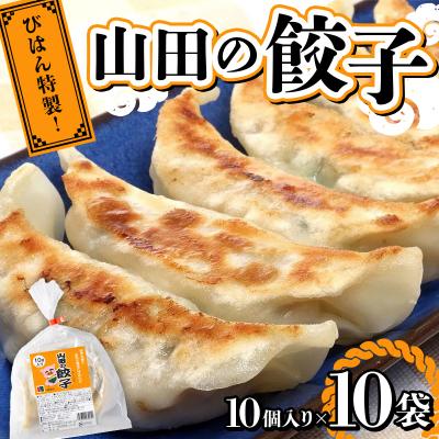 ふるさと納税 山田町 山田 の 餃子 10個入り×10袋 びはん
