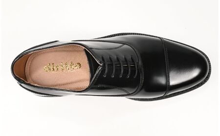 ビジネスシューズ　牛革トラッド　D8804 BL【ブラック】 27cm