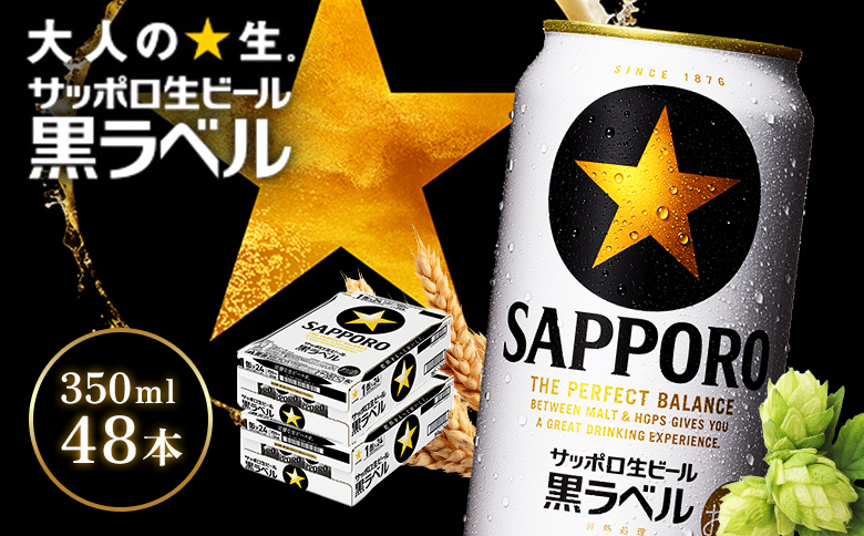 サッポロ黒ラベル350ml×48本（2箱） | サッポロ黒ラベル 黒ラベル サッポロ サッポロビール ビール 生ビール お酒 アルコール 北海道醸造 麦芽 うまみ 後味 爽やか 泡 鮮度 お取り寄せ 北海道 恵庭市 恵庭【930040112】