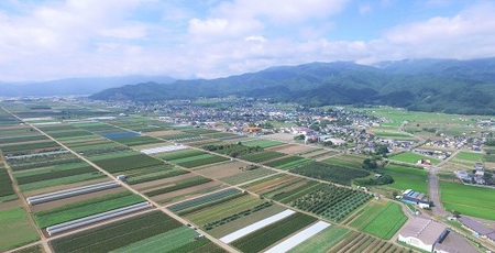 クイーンルージュ 約2.5kg（4～6房）長野県山形村 2414
