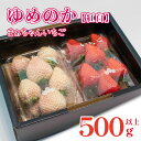 【ふるさと納税】 紅白 いちご ゆめのか 500g 以上 2パック 白いちご 果物 フルーツ 大粒 ストロベリー スイーツ 先行予約 阿波市 徳島県