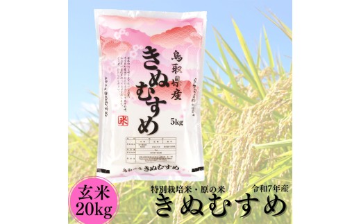 51M.特別栽培米『原の米･きぬむすめ』◇玄米20kg◇令和8年産