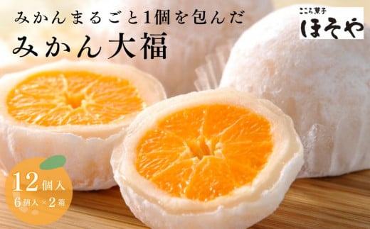 まるごとみかん大福（6個入り2セット）