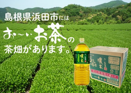 お～いお茶 濃い茶ＰＥＴ 2L 6本入り×1ケース おーいお茶 伊藤園 ドリンク 飲料 セット ペットボトル 濃い茶 新生活 応援 準備【1641】