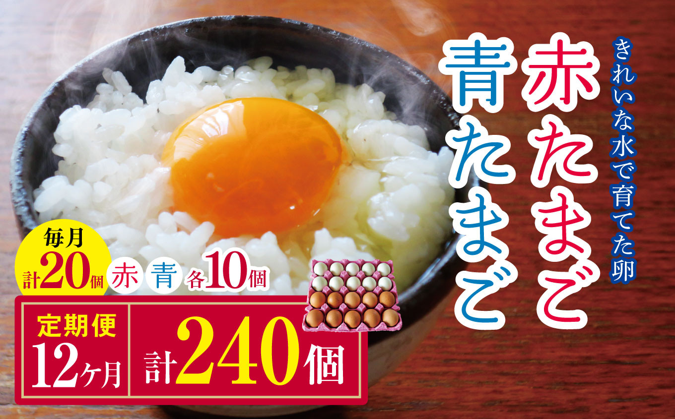 
            【12回定期便】きれいな水で育てた卵 赤たまご 青たまご 各10個 計20個  | 保坂農場  アローカナ あろーかな 赤卵 ミックス アソート 卵 たまご 赤玉 青玉 赤い卵 青い卵  定期便 12回 君津市産 千葉 君津 きみつ 房総
          