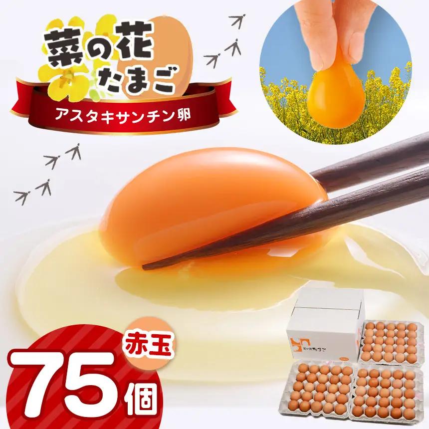 【2週間以内発送】赤玉 アスタキサンチン卵 75個｜菜の花エッグ 自社農場 すぐ発送 常温 抗酸化 健康 新鮮 卵かけご飯 ギフト 君津養鶏場直送｜千葉県 君津市