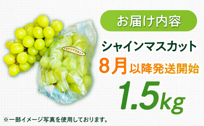 【濃厚芳醇】シャインマスカット 1.5kg / シャインマスカット ぶどう フルーツ 果物 / 佐賀県 / さかもとさんの畑 [41ABAA013]