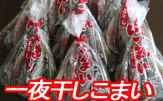 A-70012【12/21まで年内配送】 【北海道根室産】一夜干しこまい200g×10袋