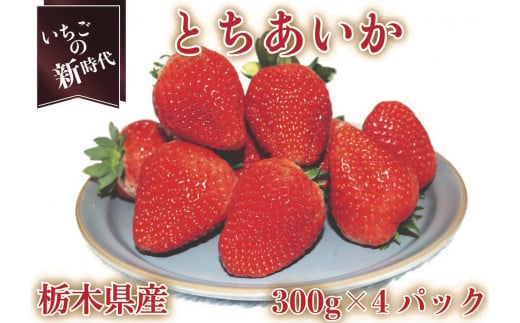 [12月中旬より順次発送予定・いちごの新時代] とちあいか4パック1200g｜いちご イチゴ 苺 フルーツ 果物 産地直送 栃木県産 矢板市産 先行予約 [0424]