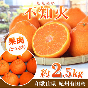 【先行予約】紀州有田産不知火(しらぬひ) 2.5kg　※2027年2月中旬頃〜3月中旬頃に順次発送予定（お届け日指定不可）/みかん 不知火 和歌山 フルーツ 有田【uot794】