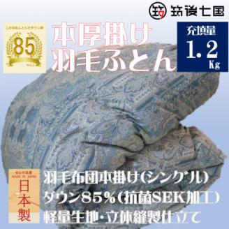 抗菌ダウン率85%1.2㎏本厚掛け羽毛布団シングル(ブルー・グリーン系)訳あり【筑後七国羽毛ふとん】