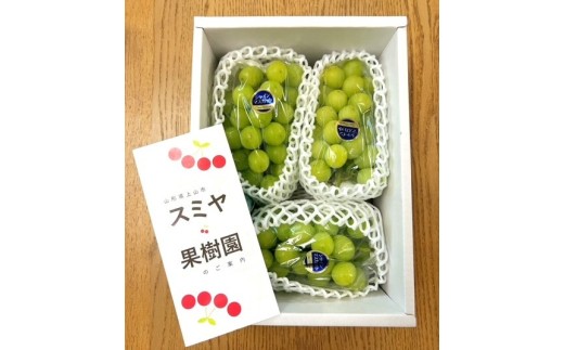 シャインマスカット　３房　合計１.８ｋｇ　特秀品・化粧箱入り　0047-2611