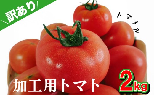 【訳あり】 加工用 トマト 2kg トマメル とまと 野菜 産地直送 選べる 容量 料理 調理用 高糖度トマト リコピン ビタミンC 美容 ご自宅用 ご家庭用 栄養 甘い おいしい トマト パスタ ソース 夕飯 サラダ おかず 下関 山口 【 2026年4月中旬以降の発送 】【 期間限定 】