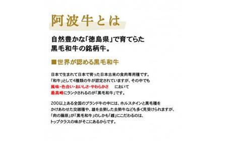 ＜一人贅沢＞阿波牛のきわみ「一貫牛」赤身焼肉＆しもふり焼肉300ｇ