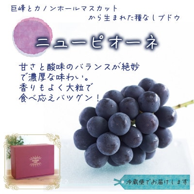 岡山　花笑み農園の『ニューピオーネ』贈答用　約2kg(3～4房)　P-2【9月上旬～順次発送】【配送不可地域：離島・北海道・沖縄県】