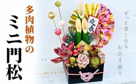 【先行受付】多肉植物のミニ門松|門松 門松 門松 門松 門松 