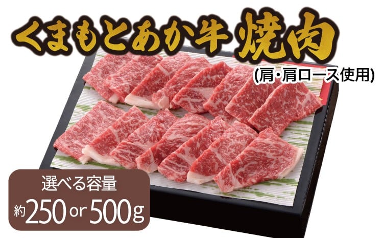 
                  くまもとあか牛 焼肉(肩・肩ロース使用) 【選べる容量】 250g または 500g やきにく 肉 牛肉 和牛 赤牛 熊本県産 九州産 国産 冷凍 オオツカ株式会社
                