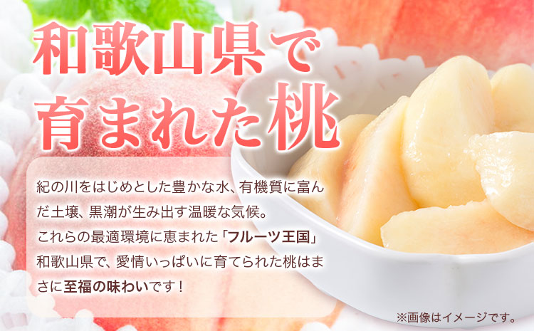 【2024年分先行予約】産直・人気の特産品 和歌山の 桃 約 4kg 秀選品 厳選館 《2026年6月下旬-8月中旬頃出荷》 和歌山県 日高町 桃 もも モモ