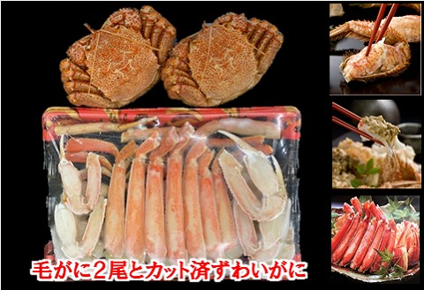 毛がに2尾とずわいがにカット脚(棒肉・肩肉・爪肉) C-01008