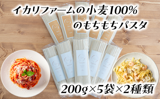 近江八幡市産小麦100％のもちもちパスタセット　200g×5袋×2種類【C053U】
