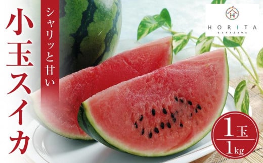 【2026年6月中旬発送】小玉スイカ 1kg（1玉）スイカ すいか 西瓜 小玉 先行予約 フルーツ 果物  石川 金沢 加賀百万石 加賀 百万石 北陸 北陸復興 北陸支援