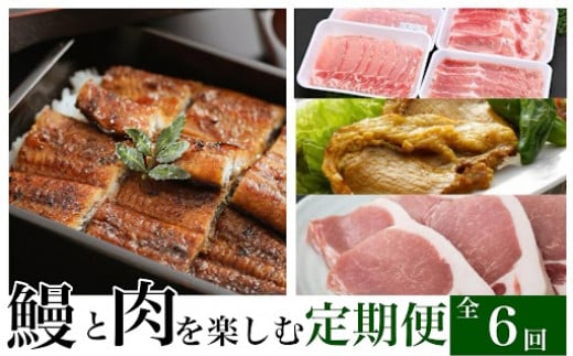 
E57006 ＜定期便・全6回＞肝付町鰻と肉を楽しむ定期便 鹿児島 豚肉 黒豚 しゃぶしゃぶ セット ロース バラ スライス 鰻 うなぎ セレクト【一般社団法人きもつき宇宙協議会】
