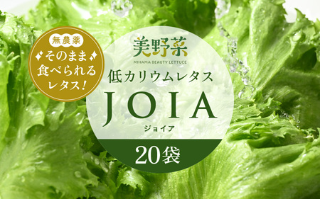 低カリウムレタス 美野菜 「JOIA」 20袋 クリーンルーム栽培 無農薬 鮮度長持ち 【野菜 生野菜 レタス サラダ お弁当 水耕栽培 大容量 洗わず食べられる 時短 付け合わせ】レタス フリルレタス 野菜 サラダ ダイエット ヘルシー レタス フリルレタス 野菜 サラダ ダイエット ヘルシー [m40-b003]
