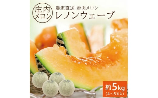 庄内メロン/赤肉　レノンウェーブ　約5kg(4～5玉入) SA2869