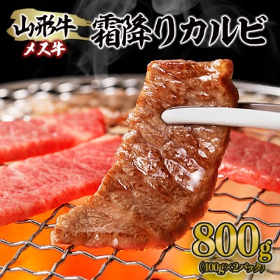 山形牛 メス牛 霜降りカルビ 800g(400g×2) FZ21-189