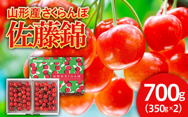 
            さくらんぼ 佐藤錦 700g バラ詰め 特秀Ｌ 【令和7年産先行予約】FU21-613 くだもの 果物 フルーツ 山形 山形県 山形市 2025年産
          