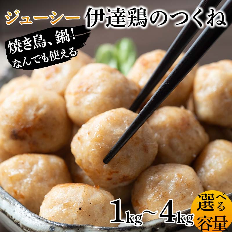 【ふるさと納税】＼選べる容量／焼き鳥、鍋！なんでも使えるジューシー伊達鶏のつくね 1kg 2kg 3kg 4kg 鶏肉 伊達鶏 つくね 冷凍 ジューシー 小粒 簡単調理 福島県 伊達市 F21C-086var