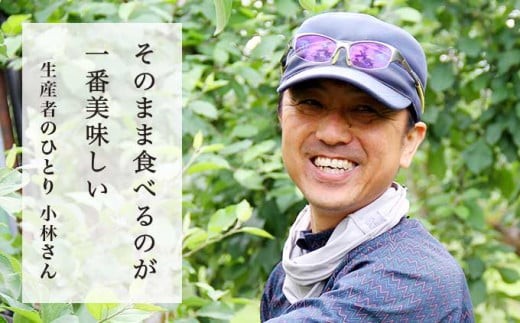 元調理師の小林さんが「そのままが一番」と太鼓判を押すりんご。