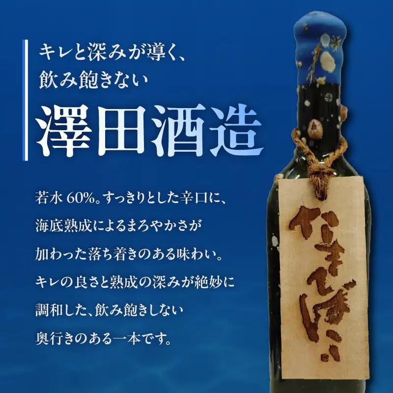 【テレビで紹介！】伊勢湾竜宮熟成酒「たまてばこ」【澤田酒造】│日本酒 酒 常滑市