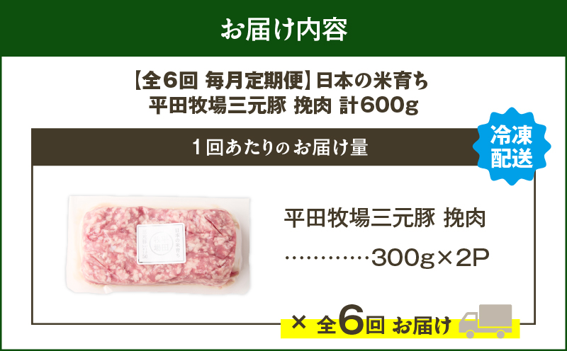 【全6回 毎月定期便】日本の米育ち平田牧場三元豚ひき肉 600g　T036-T12-02