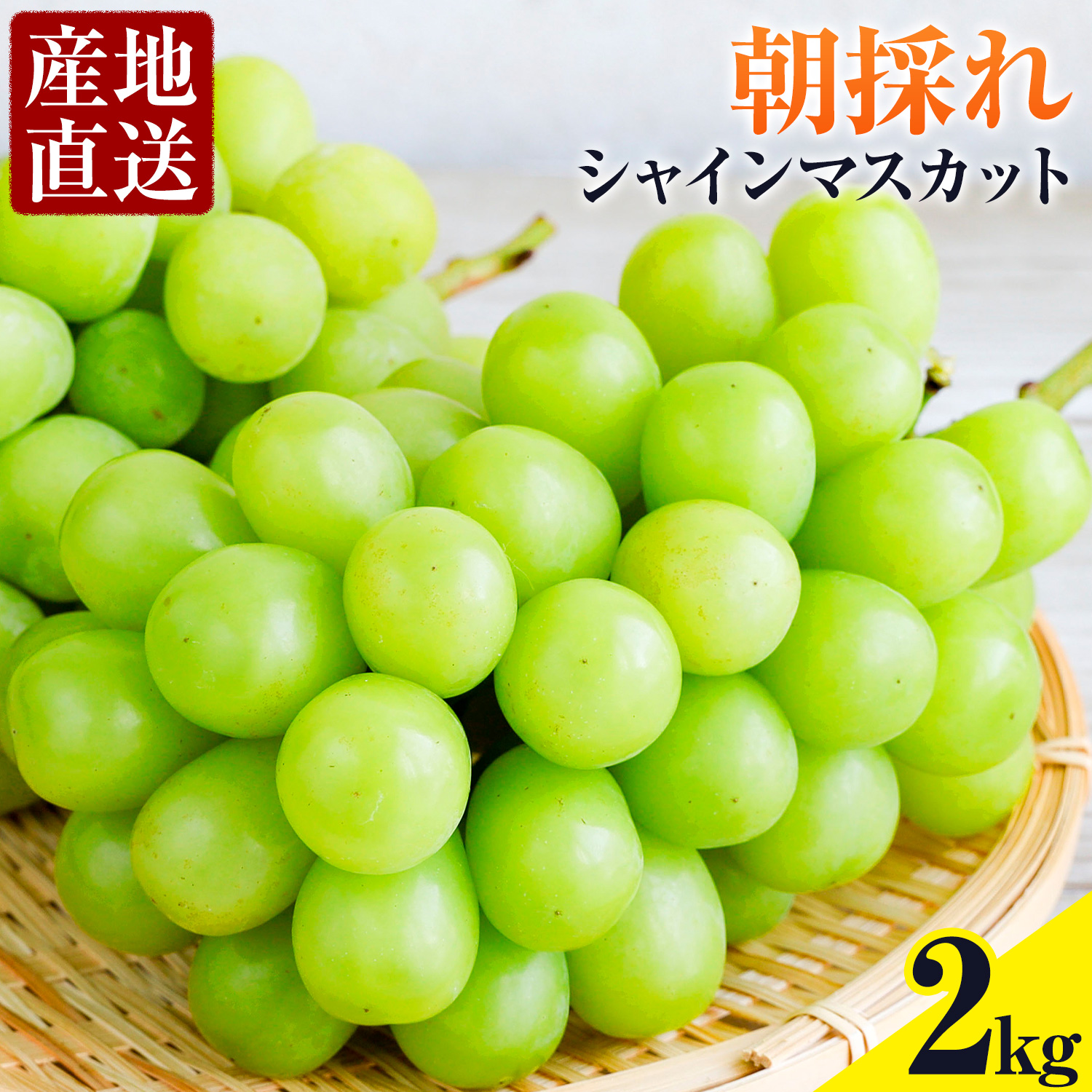 ぶどう 農園直送 朝採れシャインマスカット 2kg以上 阿部ぶどう園 《8月下旬-9月下旬頃出荷》茨城県産 結城市産 果物 ぶどう フルーツ 産地直送【配送不可地域あり】---yuki_abb_6_2kg---