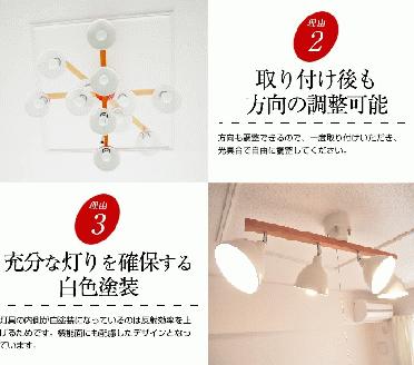 シーリングライト プルスイッチ 天井照明 LED昼白色付属[631] LED昼白色付属