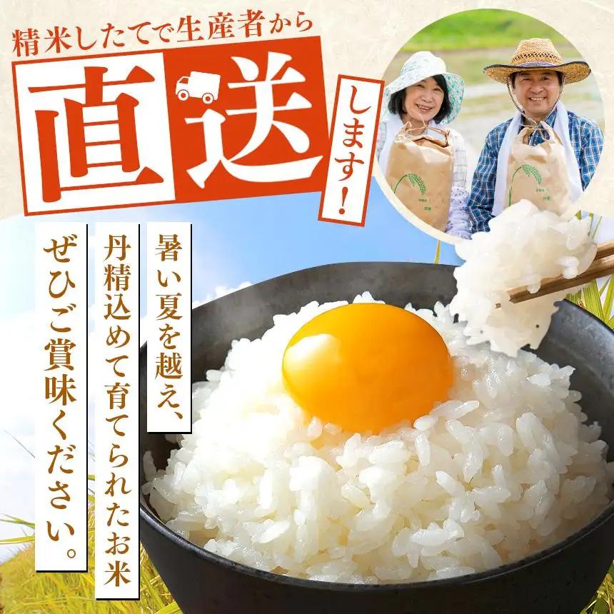 お米 令和8年産 とちぎの星 白米 10kg【2026年 先行予約】 | 栃木県共通返礼品 真岡市産