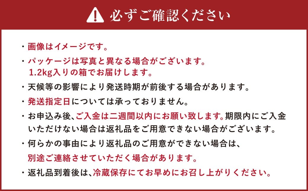 有機JAS認定 「きたいろトマト」 1.2kg×2箱 （2.4kg）