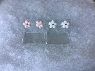 桜ドロップ　ピアス／白珊瑚