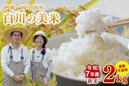 令和７年産・新米 白川の美米 ２kg 令和7年産 南小国産 玄米 白米 3分づき 5分づき 7分づき 森のくまさん 精米 米 お米 ご飯 ごはん 無農薬 農薬不使用 自然栽培 産地直送 白川自然農園 熊本 南小国 送料無料