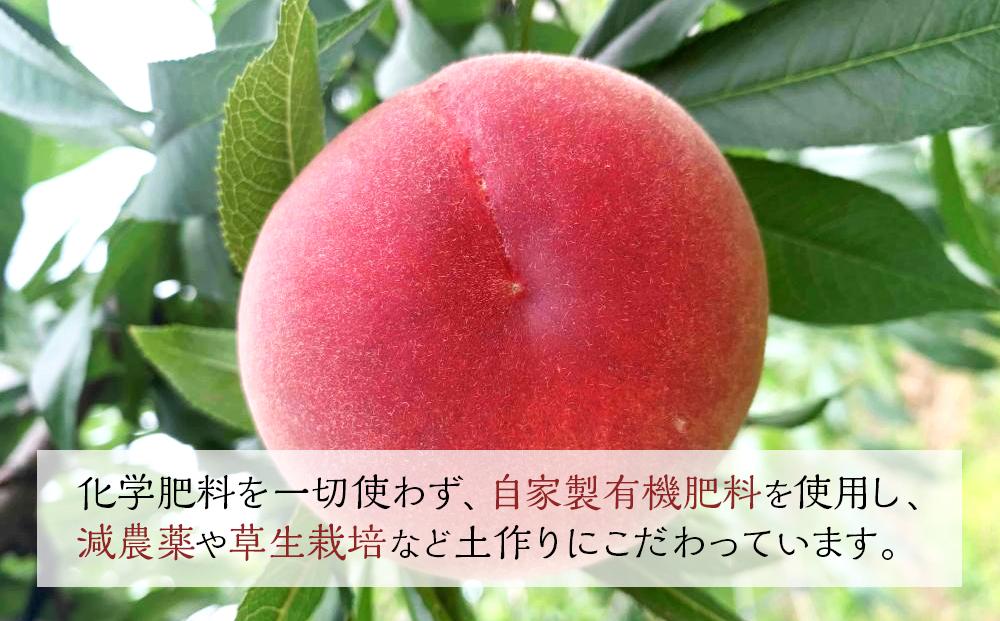 【定期便 全2回／2024年8・9月発送】＜旬の桃おまかせ2kg・6～8玉＞×2回（自家製有機肥料・減農薬・化学肥料無使用）