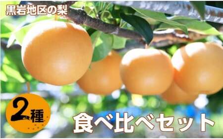 佐川の梨　定期便　2種リレー（あきづき／新高）【期間・数量限定】　2026年秋発送