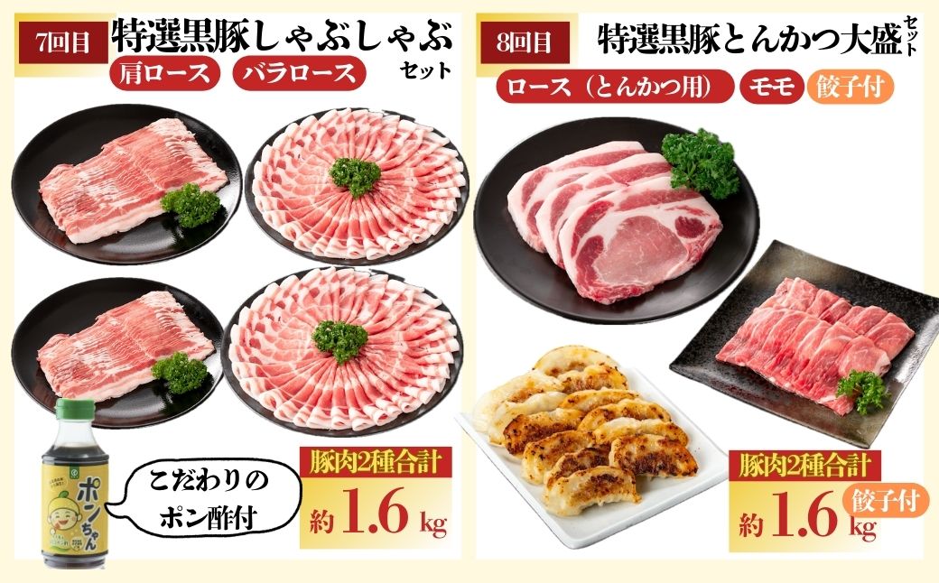 『かごしま黒豚ふるさと定期便』バラエティーセットC・全10回