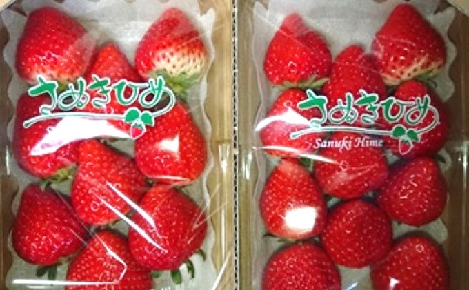 上品でかわいい “ いちご ”【 さぬきひめ　2.2kg】 観音寺