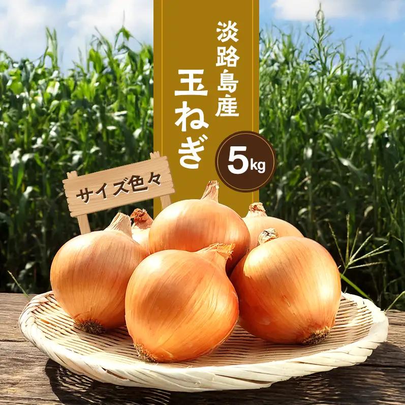 玉ねぎ 淡路島産 サイズ色々 5kg 善太 玉ねぎ