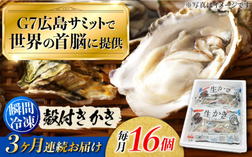 広島G7で提供された牡蠣！【全3回定期便】やながわ自慢！ 殻付き 牡蠣 16個(瞬間冷凍) 牡蠣 かき カキ 殻つき 瀬戸内 広島 ＜マルサ・やながわ水産有限会社＞江田島市[XBL012]牡蠣 むき身 殻付き 殻付 殻 かき カキ 生牡蠣 広島牡蠣 オイスター カキフライ 魚介類 魚介 貝類 海鮮 広島県産 国産 産地直送 贈答 ギフト 特産品