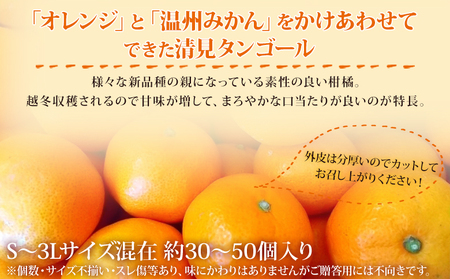 愛媛県西予市産　清見タンゴール　ご家庭用　7kg